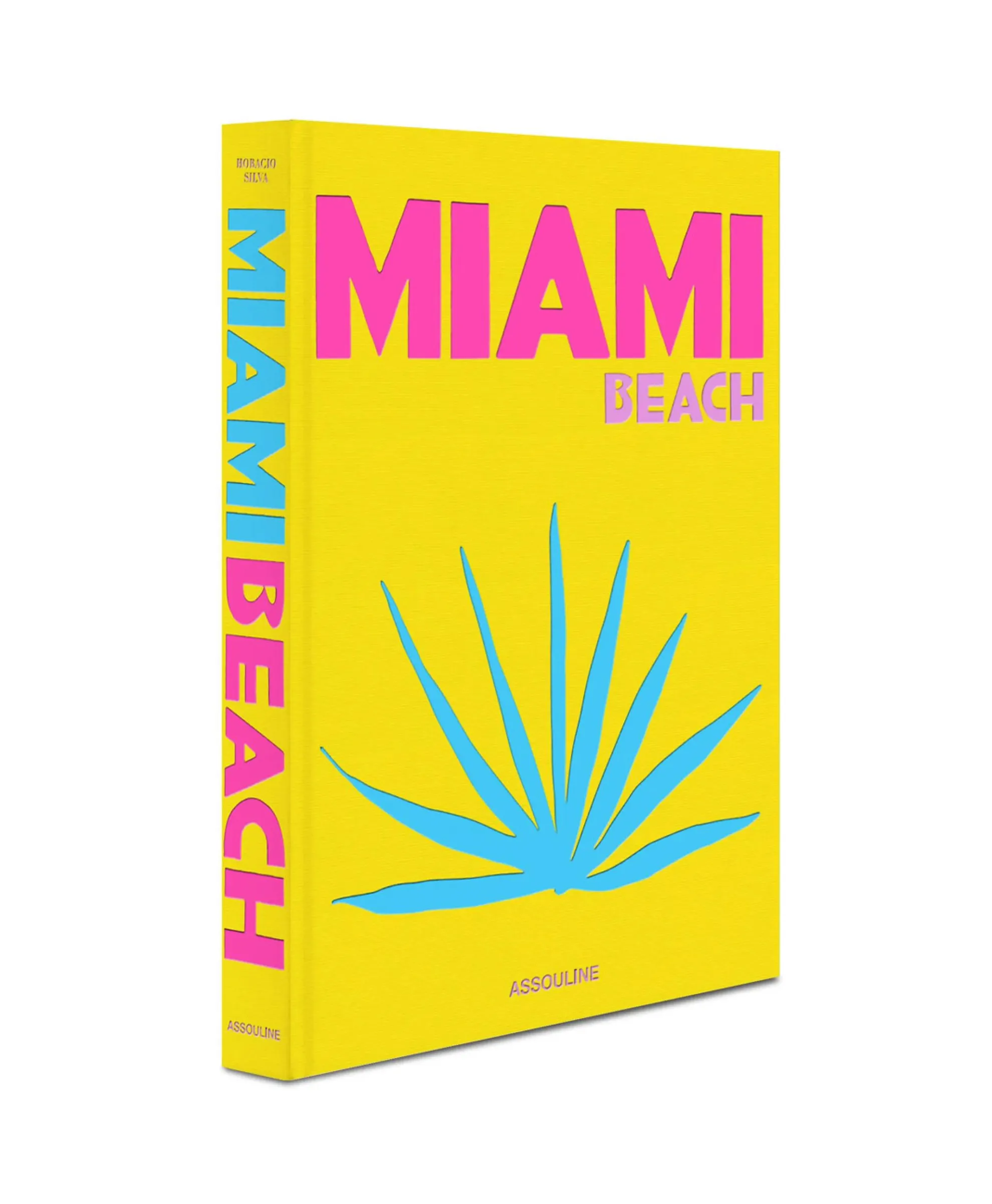 Assouline Boek Miami Beach Diversen